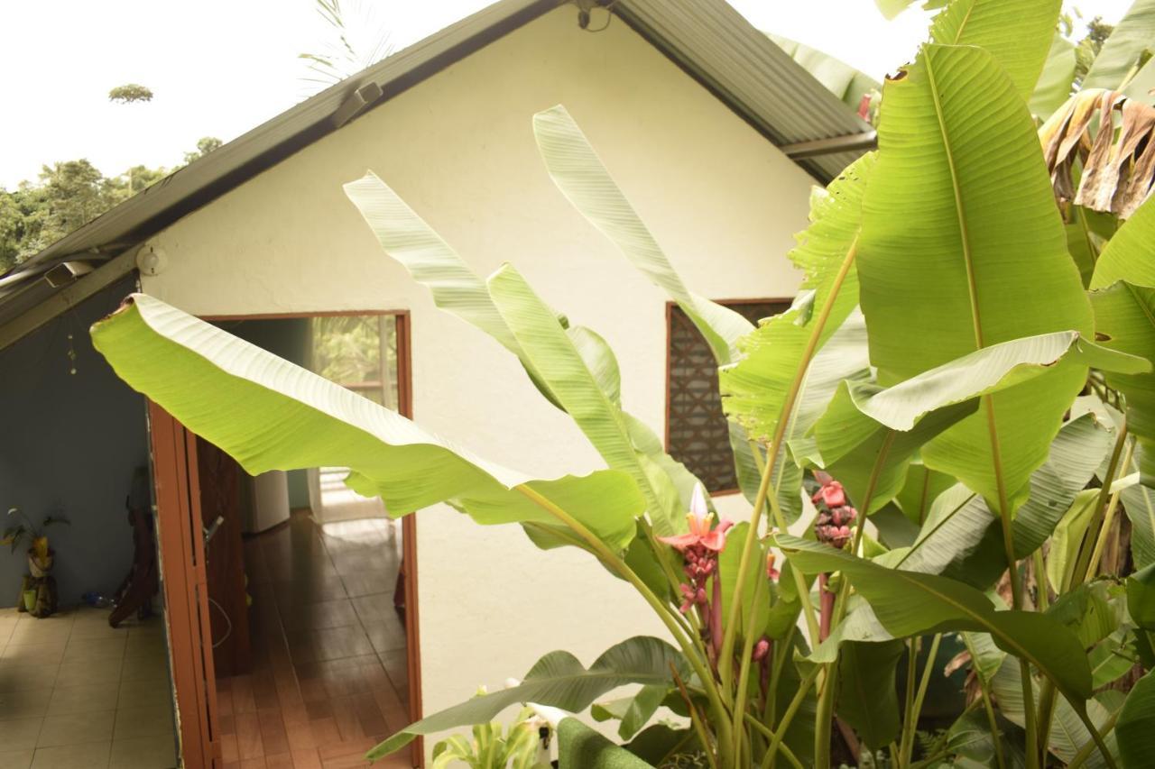 Casita Tangara Con Balcon Y Agua Caliente Apartment Drake Bay Exterior photo